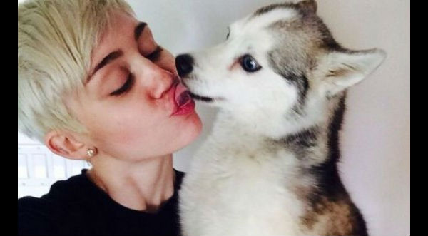 Miley Cyrus no logra supera la muerte de su mascota Floyd