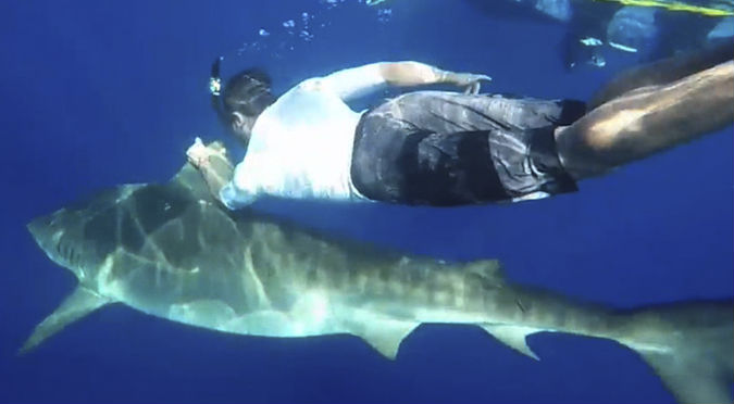 ¡Alucinante! Zac Efron nadó con tiburones - VIDEO