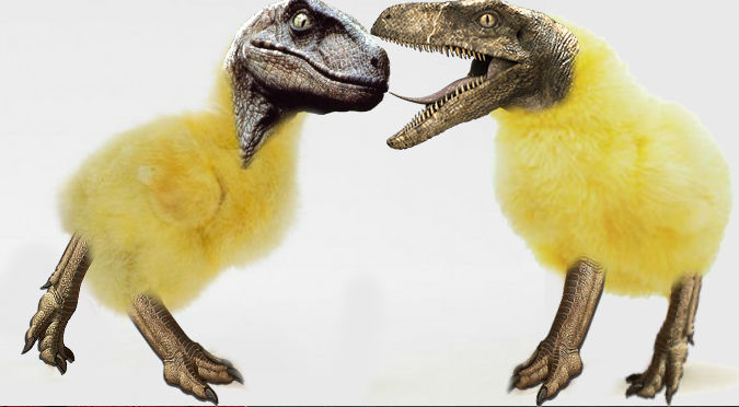 ¡Jurassic Park! Científicos crearon pollitos dinosaurio en laboratorio