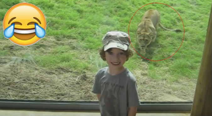 YouTube: Este niño nos enseña por qué nunca debemos darle la espalda a un león