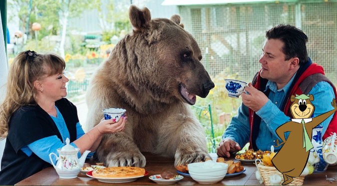 ¡Es el oso Yogui! Oso de más de dos metros vive como mascota de pareja – VIDEO