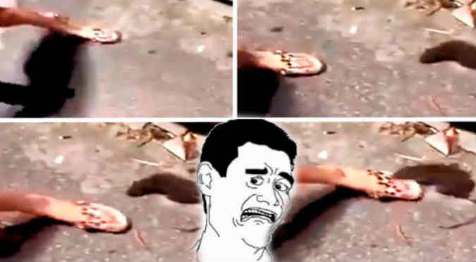 YouTube: Pensó que el roedor estaba muerto y su dedo quedó así