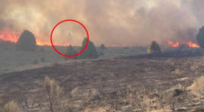 Facebook: Este fantasma apareció en medio de un incendio