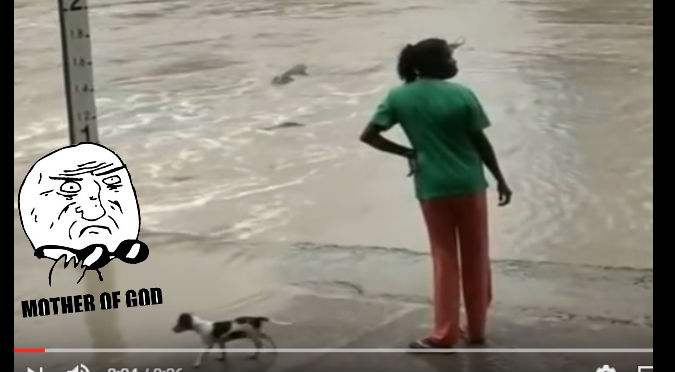 YouTube: Caminaba por la orilla del mar y este enorme animal apareció