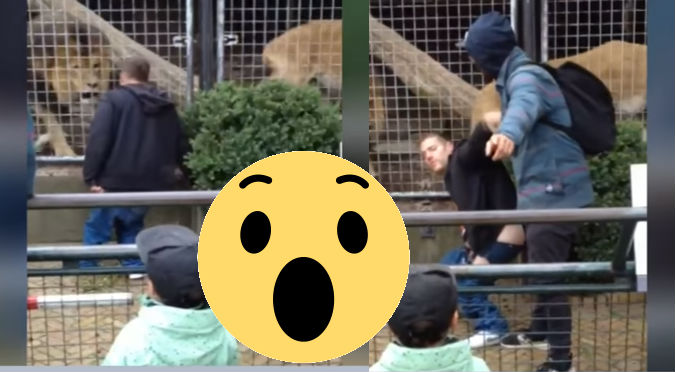 YouTube:  Hombre ebrio molestaba a leones sin imaginar que ...