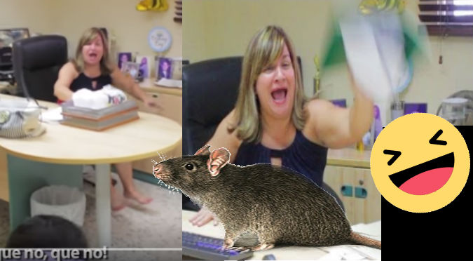 YouTube: Le hizo cruel broma  a su madre con ratas vivas ¡Ni lo intentes!