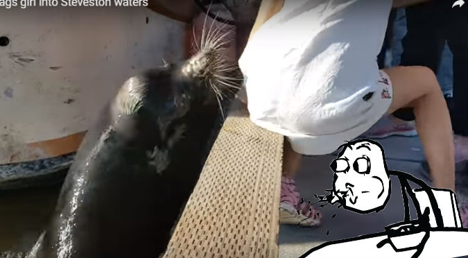YouTube: León marino se descontroló  y arrastró a una niña al mar