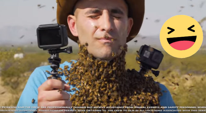 YouTube: Más de 3.000 abejas posaron sobre su rostro ¿Cómo quedó?