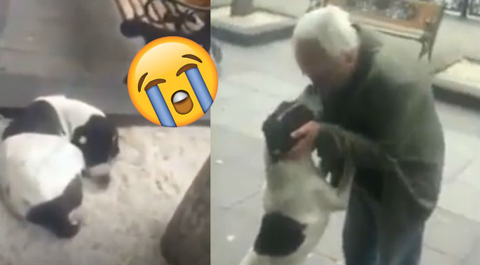 Encontró a su perro después de 3 años y mira lo que pasó (VIDEO)