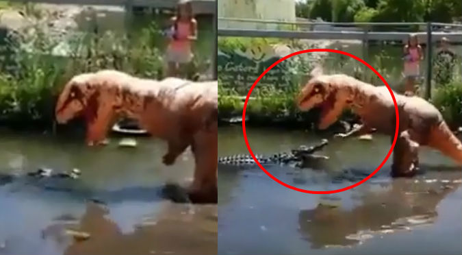 'Dinosaurio' se enfrenta a cocodrilo y su reacción fue épica (VIDEO)