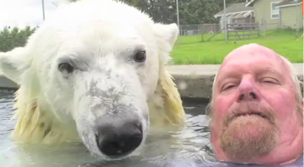 ¡Increible! Conoce al único hombre capaz de nadar junto a un oso polar