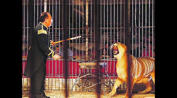 Uso de animales en los circos estará prohibido