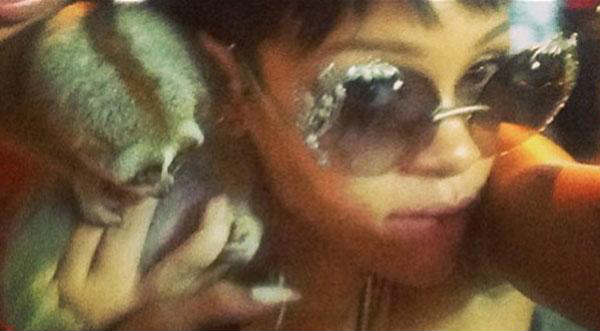 Rihanna envuelta en caso de tráfico de animales