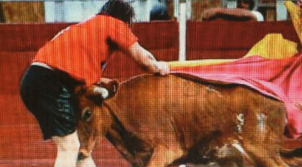 Fotos: Miguel Arce fue 'corneado' por un toro en Trujillo