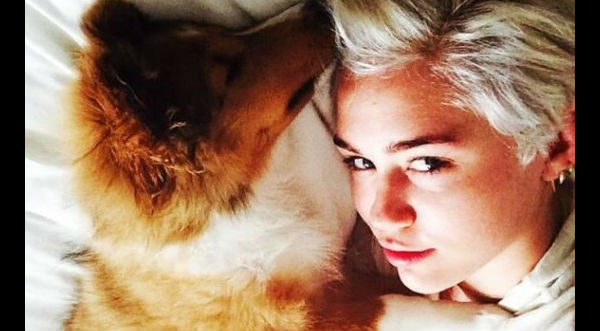 Miley Cyrus supera la partida de 'Floyd' con nueva mascota