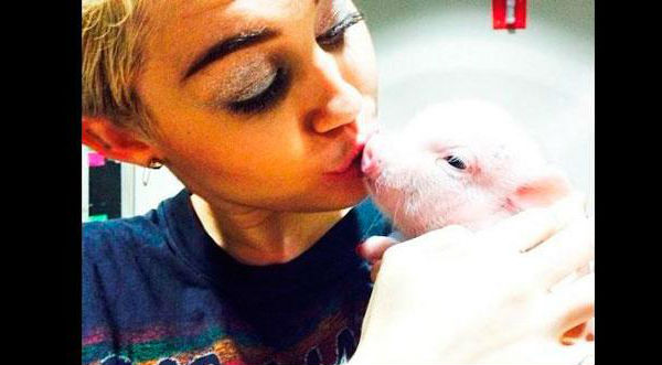 Conoce a la nueva mascota de Miley Cyrus- FOTOS