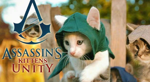 Mira la parodia del videojuego Assassin's Creed hecha con gatos - VIDEO