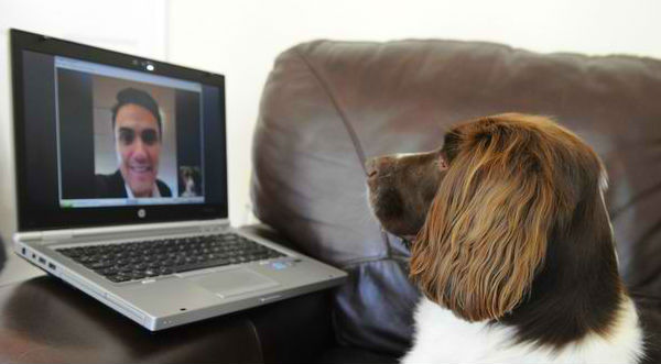 ¿Sabes cómo reaccionan los perros al ver a sus dueños por Skype? - VIDEO