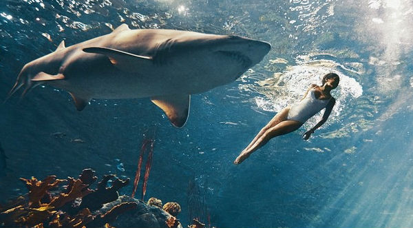 Rihanna se luce nadando entre tiburones- VIDEO