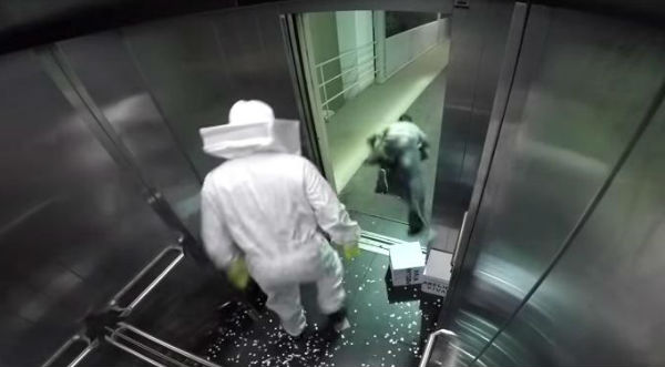 ¡Ataque de abejas! Mira esta divertida broma en un ascensor - VIDEO