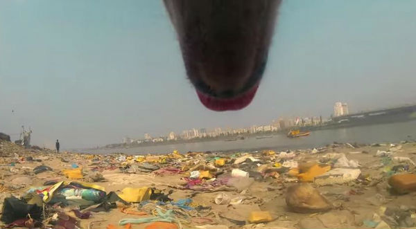 ¡Conmovedor! Mira cómo es la difícil vida de un perro sin hogar – VIDEO