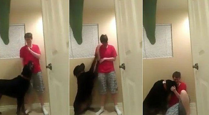 Chica autista entra en crisis y se golpea... hasta que su perro hace algo maravilloso – VIDEO