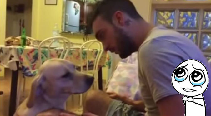 ¡Demasiada ternura! Este perro abrazó a su dueño para pedirle perdón - VIDEO