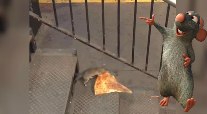 ¿Ratatouille eres tú? Habrían grabado a Remy llevándose una pizza – VIDEO