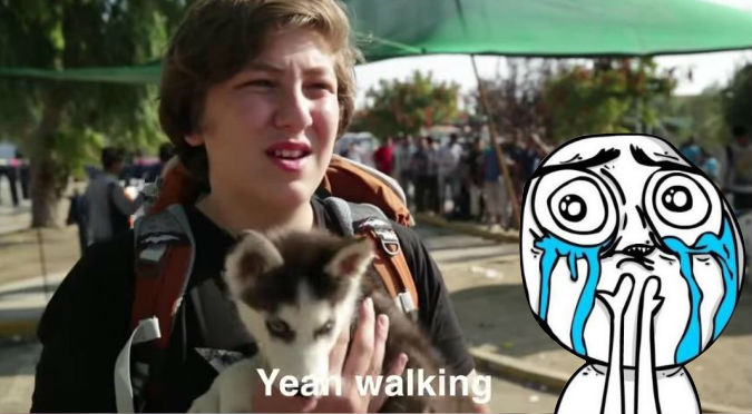 ¡Conmovedor! Caminó 500 kilómetros junto a su perro huyendo de la guerra – VIDEO