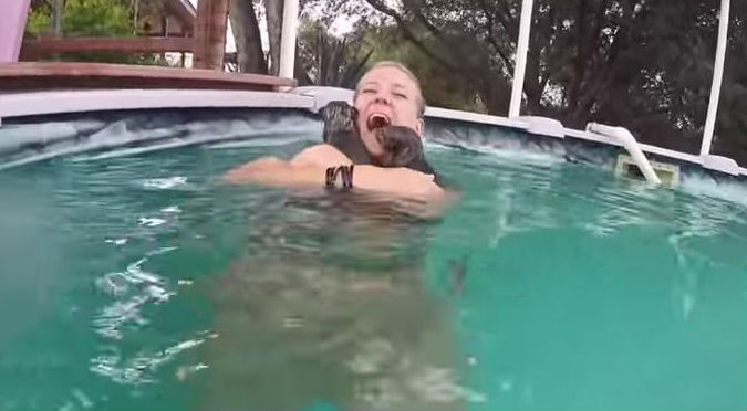 ¡Muy tierno! Mira lo que sucede cuando nadas con nutrias bebés – VIDEO