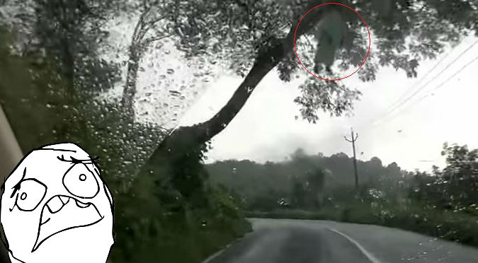 ¡Ay mamita! Supuesto fantasma asusta a todos en carretera - VIDEO