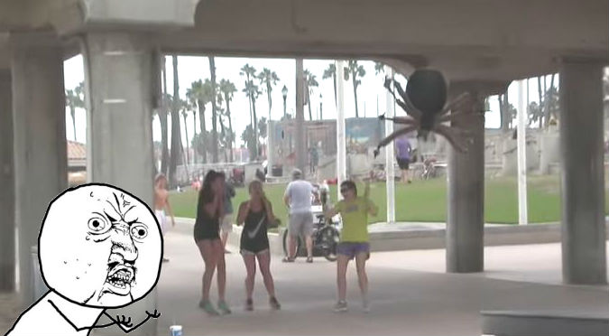 ¡Tremendo susto! Cruel broma de ‘araña gigante’ asustó a transeúntes – VIDEO