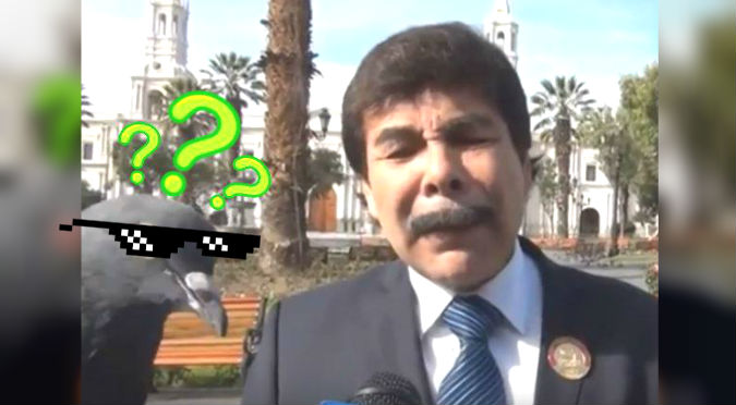 ¡JAJAJA! Palomas ‘trollean’ a alcalde que daba entrevista televisiva en vivo – VIDEO