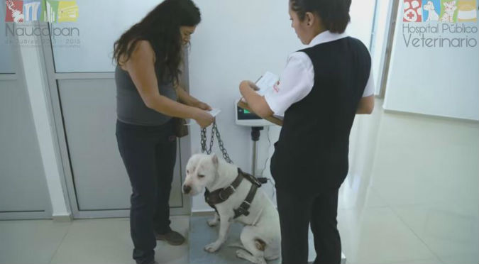 ¿Lo sabías? México tiene el primer hospital público para animales – VIDEO