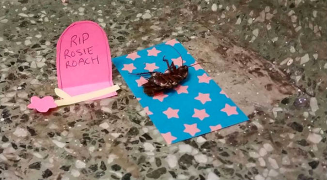 ¡QEPD! Encuentran cucaracha muerta en universidad y le hacen un... - FOTOS