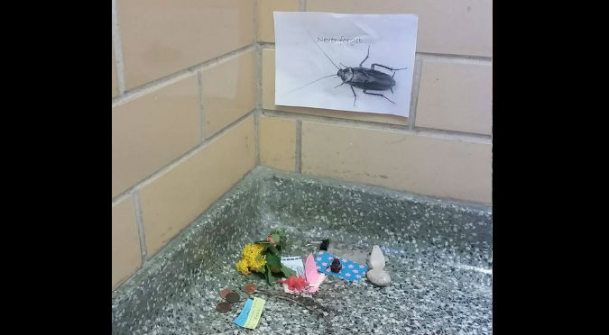 ¡QEPD! Encuentran cucaracha muerta en universidad y le hacen un... - FOTOS