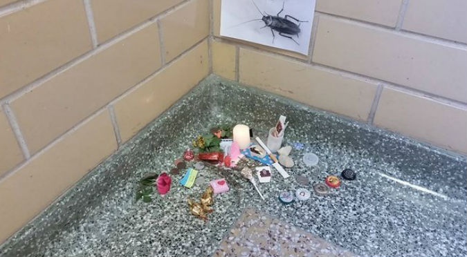 ¡QEPD! Encuentran cucaracha muerta en universidad y le hacen un... - FOTOS