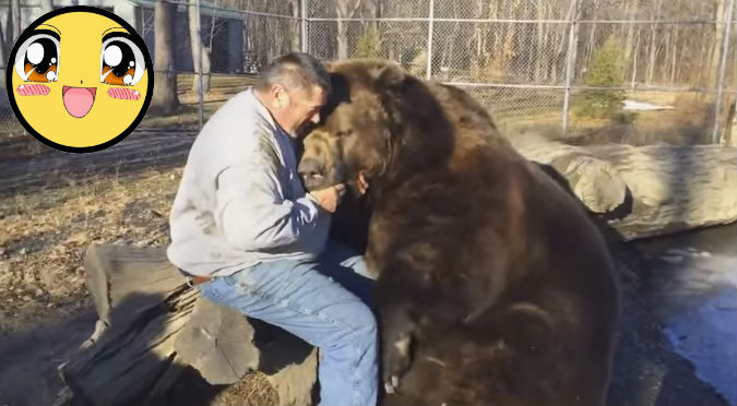 YouTube: El abrazo entre un oso y un hombre te hará creer nuevamente en el amor
