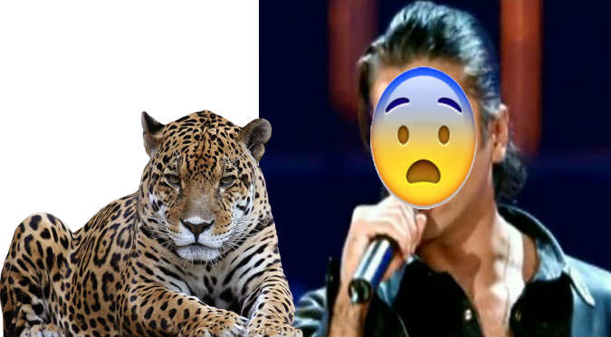 ¡Asuuuuu! Conocido cantante está a punto de perder la pierna porque ¡lo mordió un jaguar!