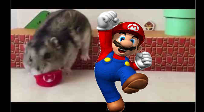 YouTube: Conoce al hamster que se convirtió en Mario Bros