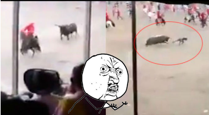 YouTube: Terrible embestida de toro terminó con la vida de este joven