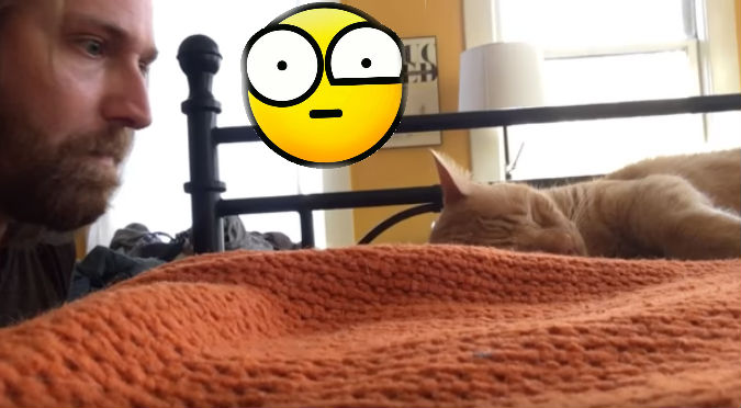 YouTube: Gato lo despertaba en la madrugada y él se vengó de esta manera