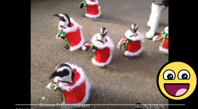 YouTube: Pingüinos navideños causan revuelo en redes por este motivo