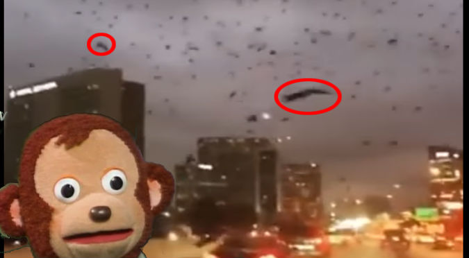 YouTube: Miles de murciélagos invadieron el cielo ¿Se cumple el apocalipsis?