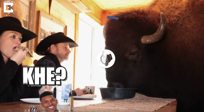 YouTube: Tienen como mascota a un búfalo y esto pasó