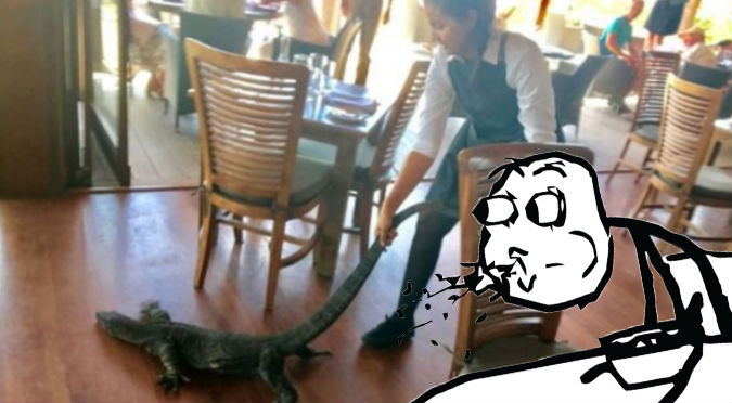 Facebook:  Lagarto apareció en un restaurante y esto pasó - VIDEO