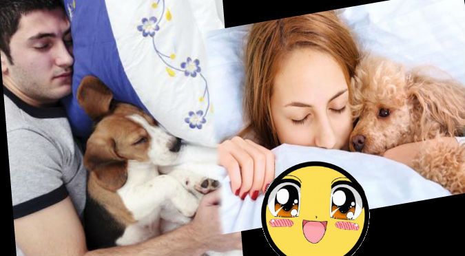 Viral: ¿Duermes con tu perro? Si lo haces, tendrás estos beneficios