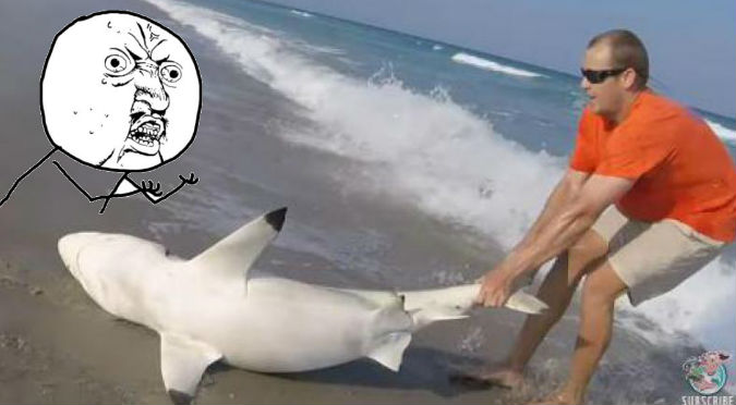 YouTube: Hombre intentaba salvar a un tiburón y esto pasó