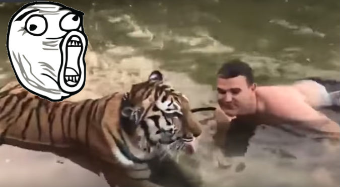 YouTube: Quería dar un beso al tigre y este fue el desenlace