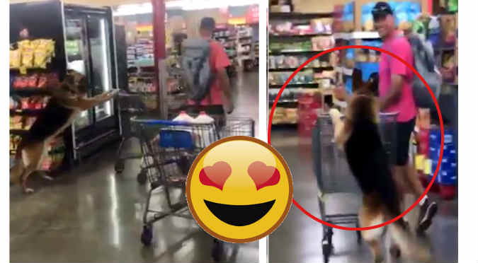 ¡Perro va de compras al supermercado y esto pasa! (VIDEO)